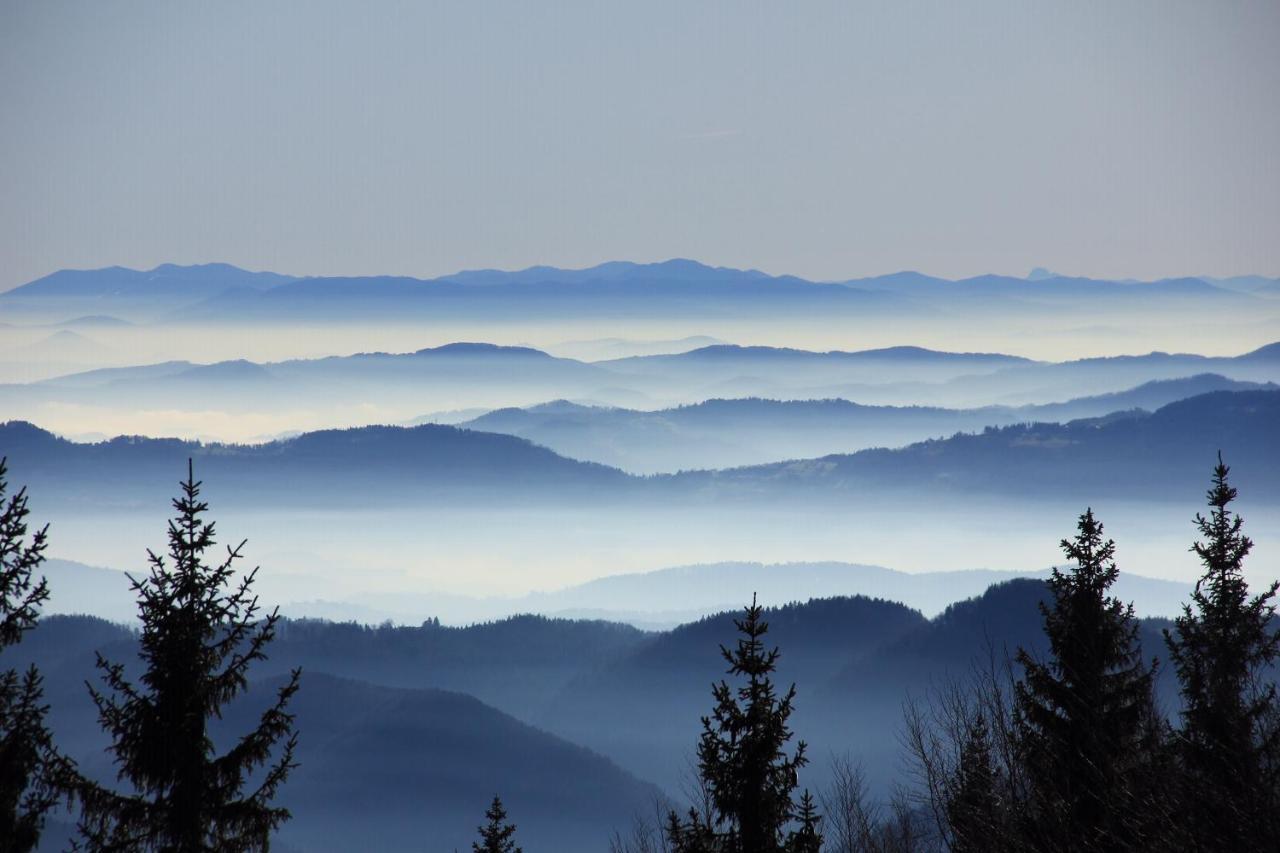 Velika Planina Chalet Slovenka Стаховица Экстерьер фото