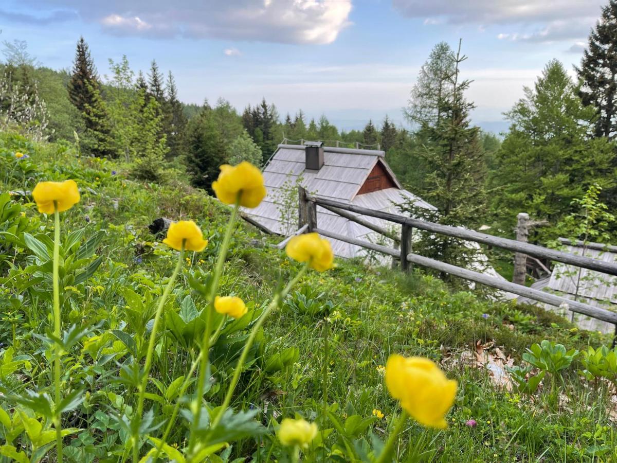 Velika Planina Chalet Slovenka Стаховица Экстерьер фото
